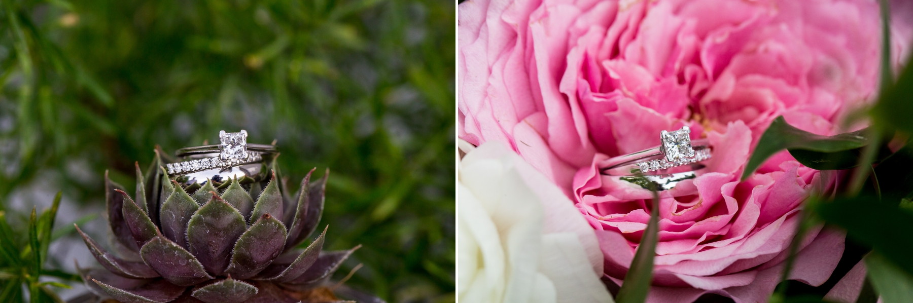 The Vineyard At Grandview Wedding